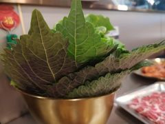 紫苏叶-炉队长·齐齐哈尔家庭烤肉(马家堡店)