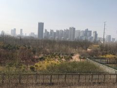 -邯郸东站