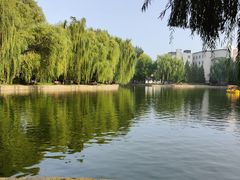 -团结湖公园
