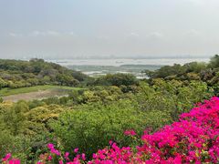 -广州莲花山旅游区