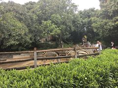 -泉州海丝野生动物世界