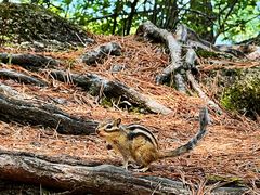 -北极村旅游风景区