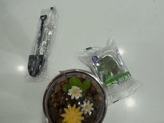 -GANSO元祖食品(西安含光路店)