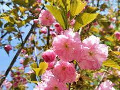 -长白岛森林公园