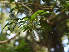 -七仙岭温泉国家森林公园