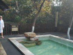 -天目湖涵田半山温泉