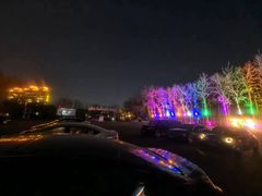 -枫花园汽车电影院(朝阳公园店)