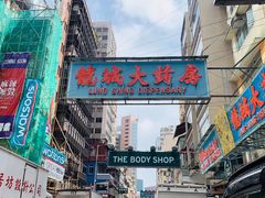 -龙城大药房