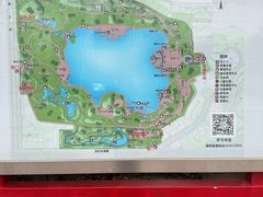 -莲花池公园
