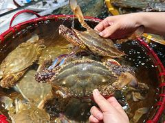 -好兄弟郭巨海鲜(天一阁店)