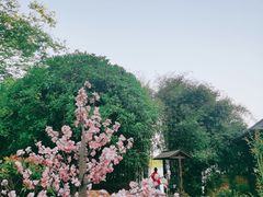 -山湖温泉