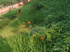 -人民公园(罗湖区)