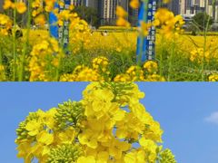 -昆明滇池国家级风景名胜区西山景区