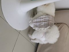 -怪兽屋·羊驼·猫咖·狗咖(俊华广场店)