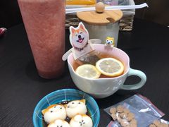 -逗柴咖啡屋·狗咖猫咖宠物桌游