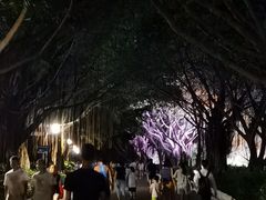 -南宁南湖公园