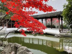 -秋霞圃