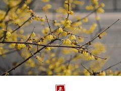 -山东师范大学(千佛山校区)