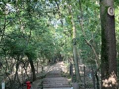 -紫金山山顶公园