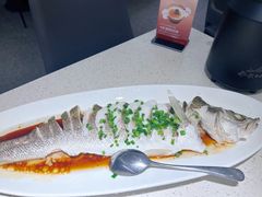 -船歌·鱼水饺青岛菜(金狮广场店)