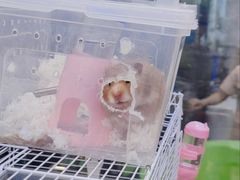 -萌兽医馆·眼科·异宠专科(三里屯店)