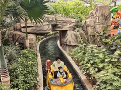 -南宫五洲植物乐园