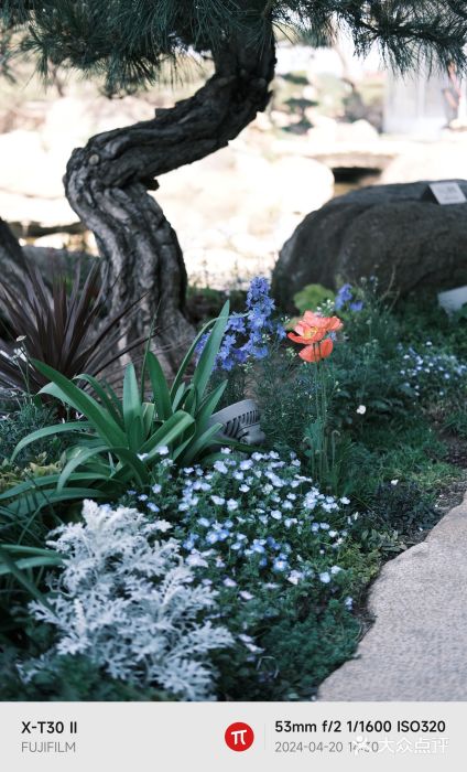 罗红摄影艺术馆图片