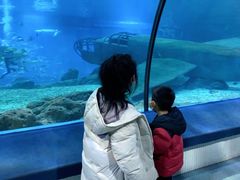 -福州罗源湾海洋世界旅游区