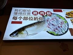 -鱼醉无骨鱼·中山脆肉鲩(荔湾路店)