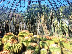 -深圳仙湖植物园
