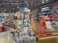 -厦门高崎国际机场-T3航站楼