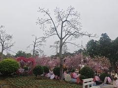 -广东花都香草世界旅游度假区