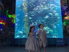 -泉城欧乐堡海洋极地世界