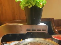 -九田家黑牛烤肉料理(太阳宫广场店)