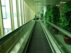 -尖沙咀中国客运码头