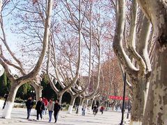 -南京航空航天大学(明故宫校区)