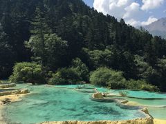 -黄龙山原始森林景区