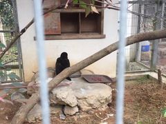-宁波野生动物园
