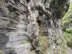 -鹿院坪生态旅游景区