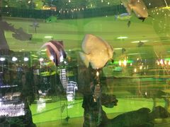 -尚泰清迈机场购物中心