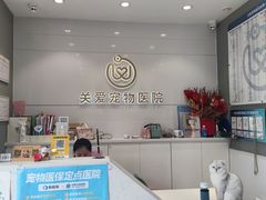 -关爱宠物医院·猫科中心·消化科(滨湖万达分院)