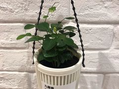 -鹿岛会员店 (龙湖三千集天街店)