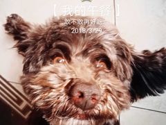 -乖乖乐动物医院(小汤山分院)