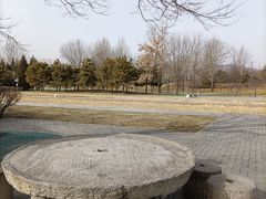-北坞公园
