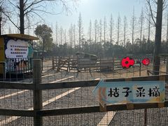 -前小桔亲子创意农场·草莓采摘·露营烧烤