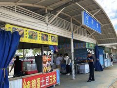 -呼兰河口湿地公园