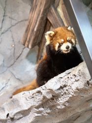 -Zoolung Zoolung动物主题公园(海信广场店)