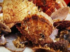 -北方饺子王·海肠捞饭·海鲜锅(山大店)