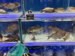 -大润发(康桥店)