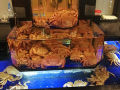 -蟹道乐(道顿堀本店)